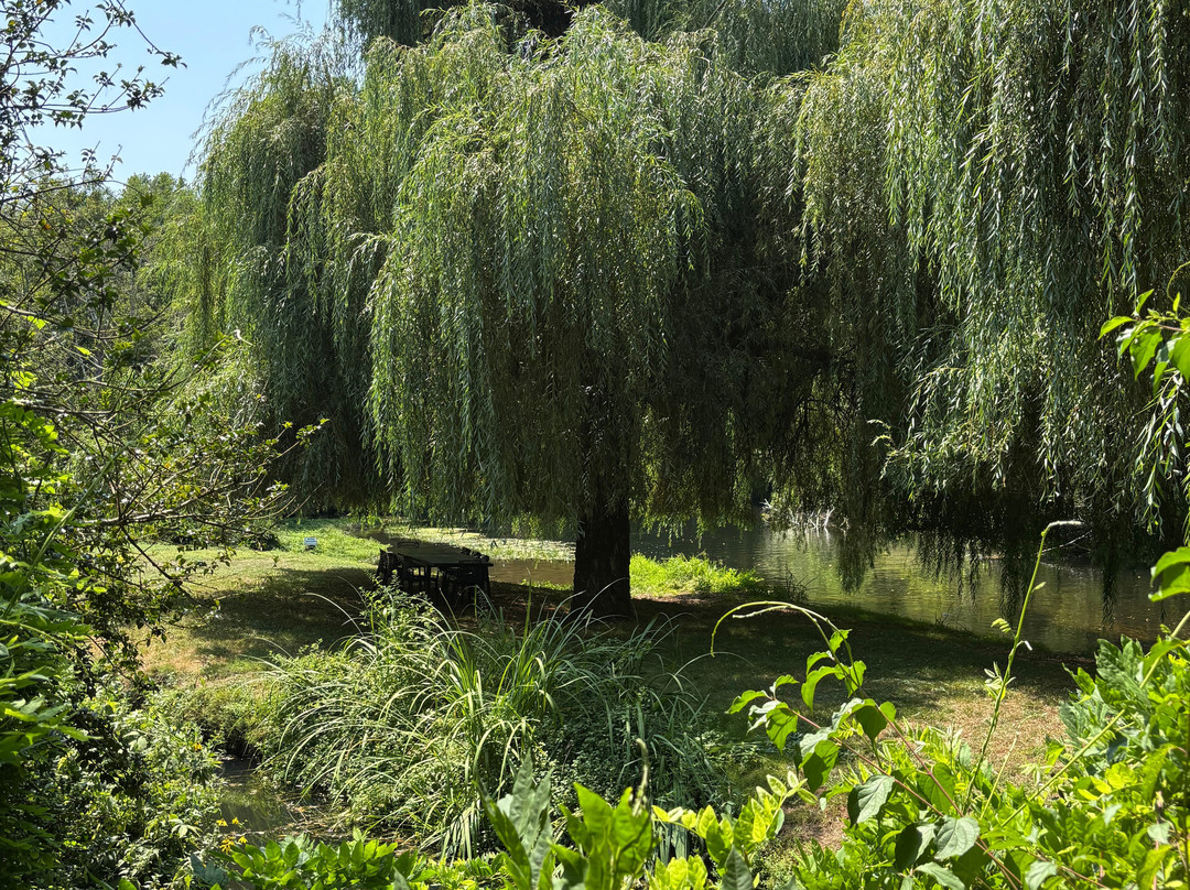 Les Jardins Tranquilles-Brantome en Perigord City必去景点