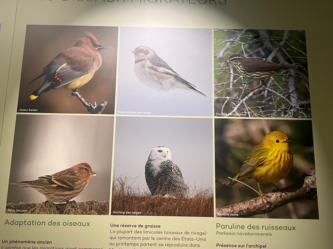 Nature Interpretation Center-Miquelon必去景点