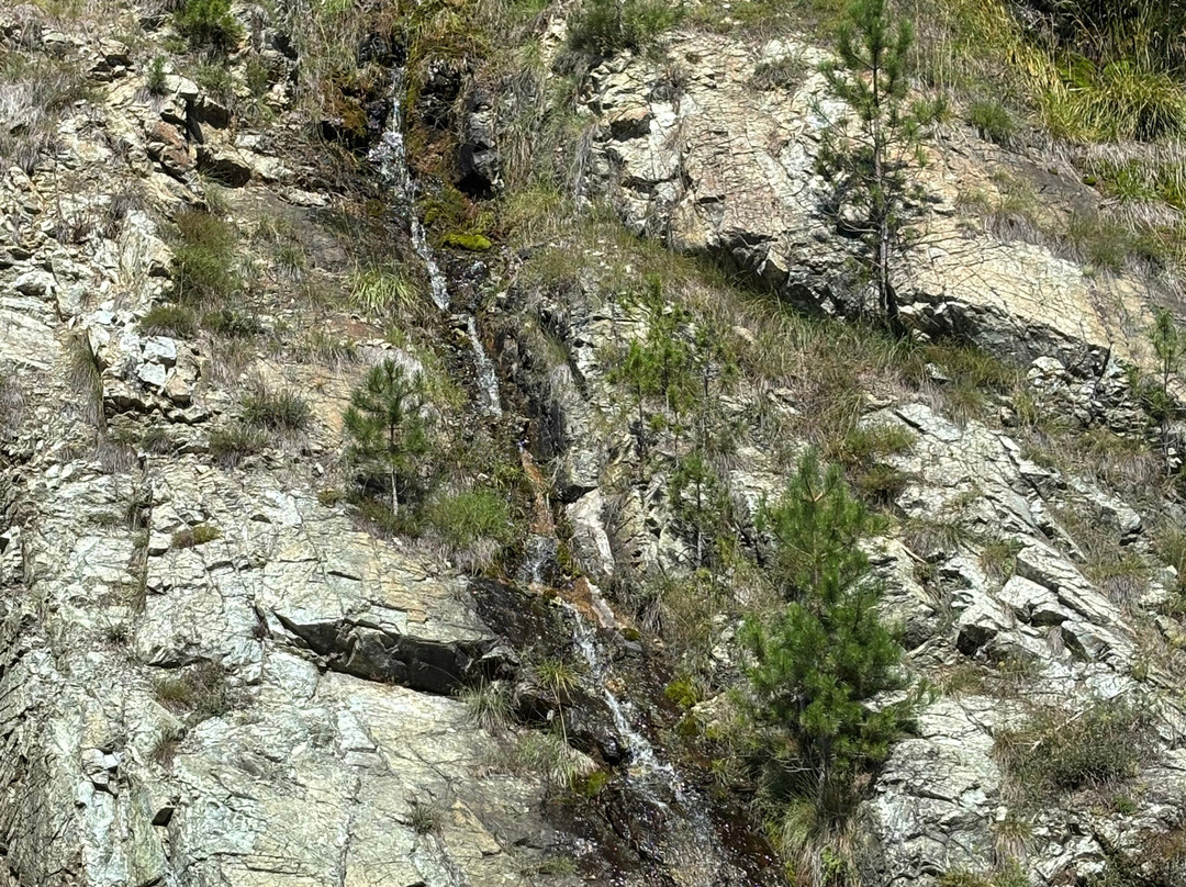 Sargan Eight Railway-Mokra Gora必去景点