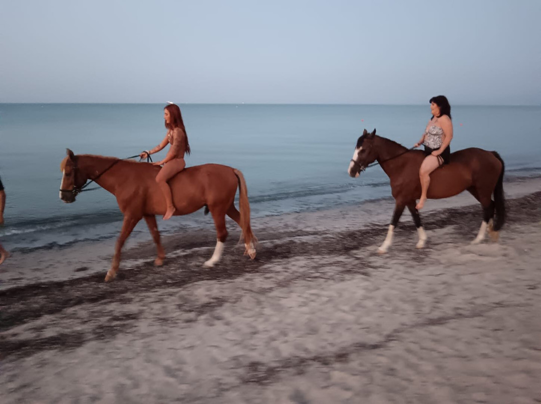 Centro Equestre Mirmex Asd-Quartucciu必去景点