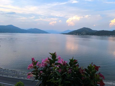 协和酒店-旅行者