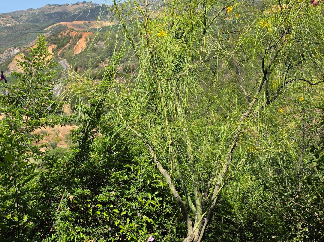 Botanical Garden Of Crete-Fournes必去景点
