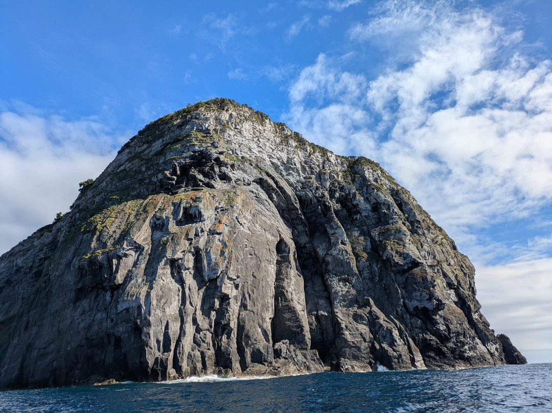 Capelinhos Ocean Tours-奥尔塔必去景点