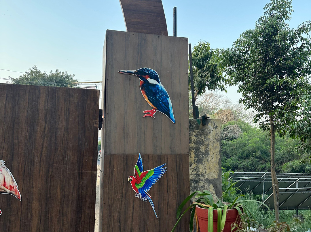 Okhla Bird Sanctuary-诺伊达必去景点