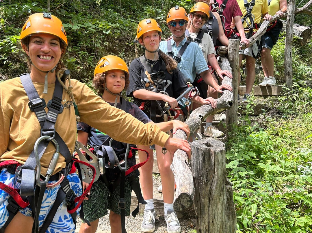 Navitat Canopy Adventures-Barnardsville必去景点