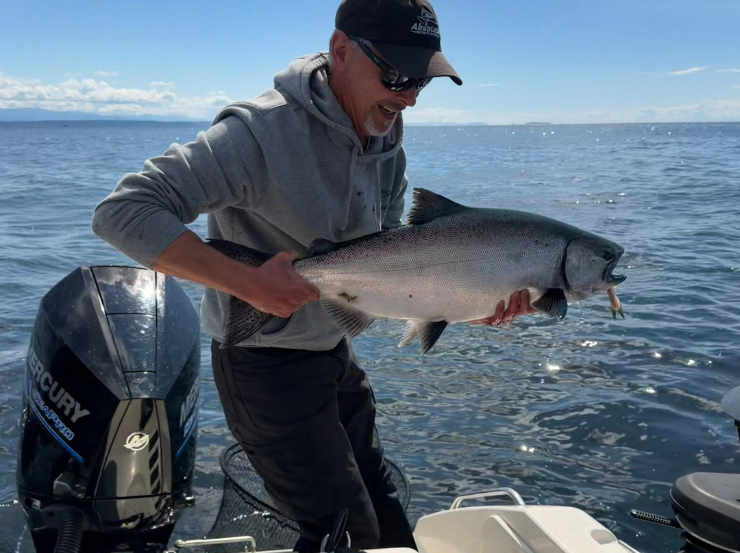 Absolute Sportfishing-坎贝尔里弗必去景点