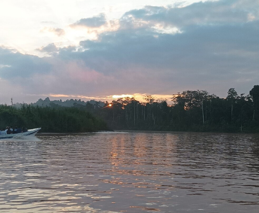 Kinabatangan Jungle Camp-苏高必去景点