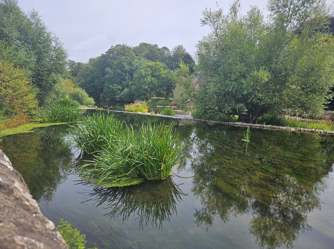 Ludford Mill Horseshoe Weir-拉德洛必去景点