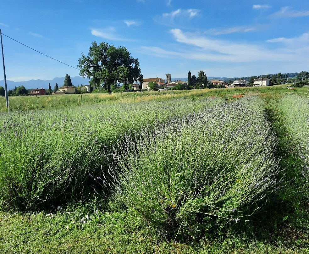 L'Antico Fienile