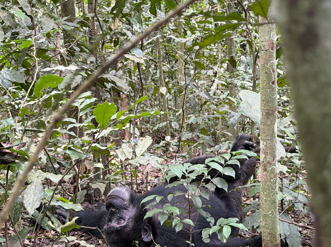 Africa Reveal Safaris-Namugongo必去景点
