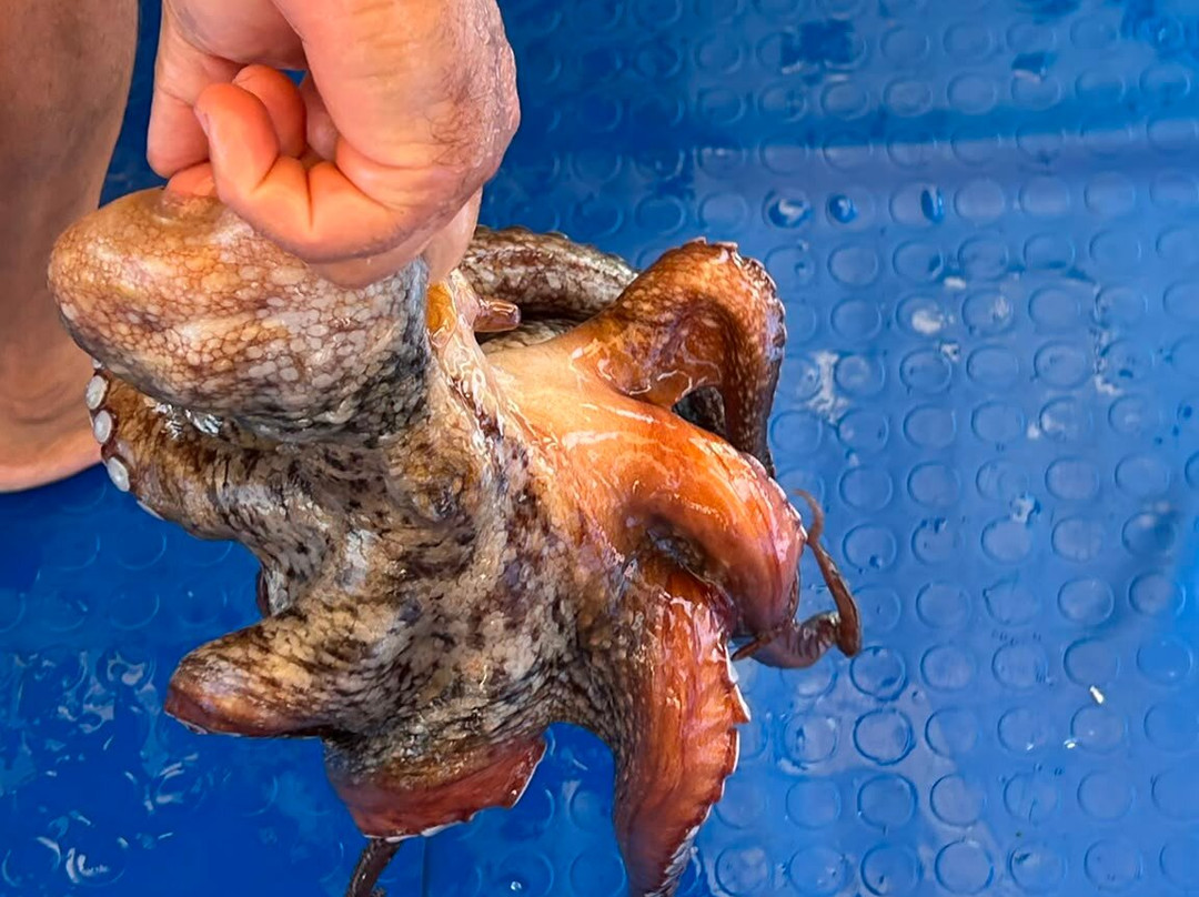 Pescaturismo K2-萨萨里省必去景点
