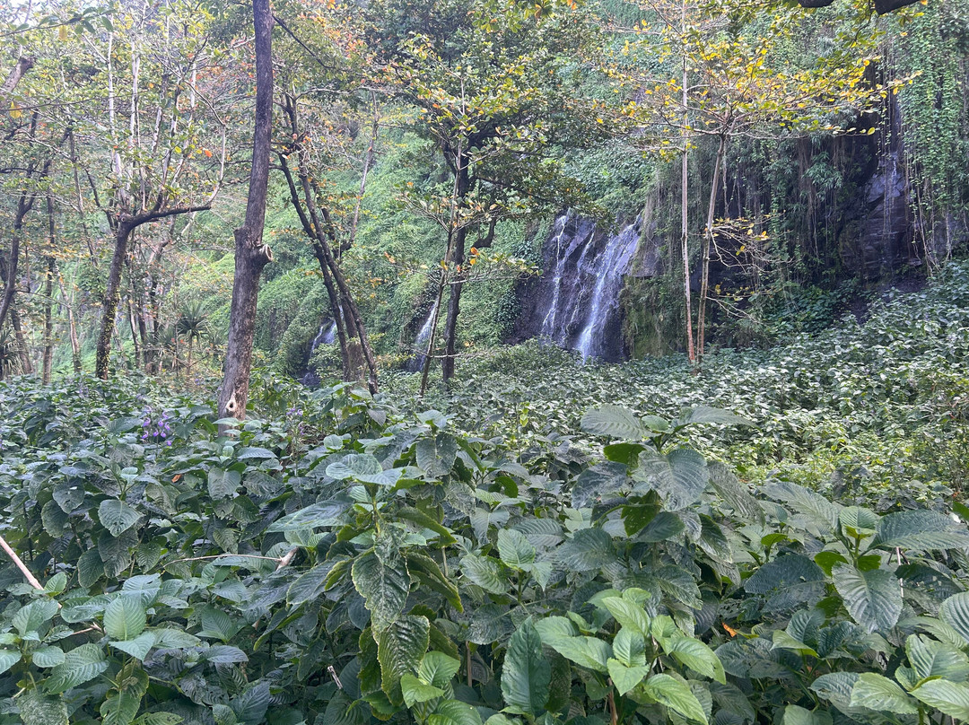 Anse Des Cascades-圣罗斯必去景点