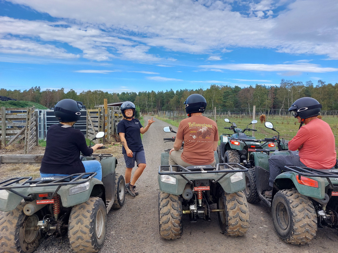 Quad Bike Treks-阿维莫尔必去景点