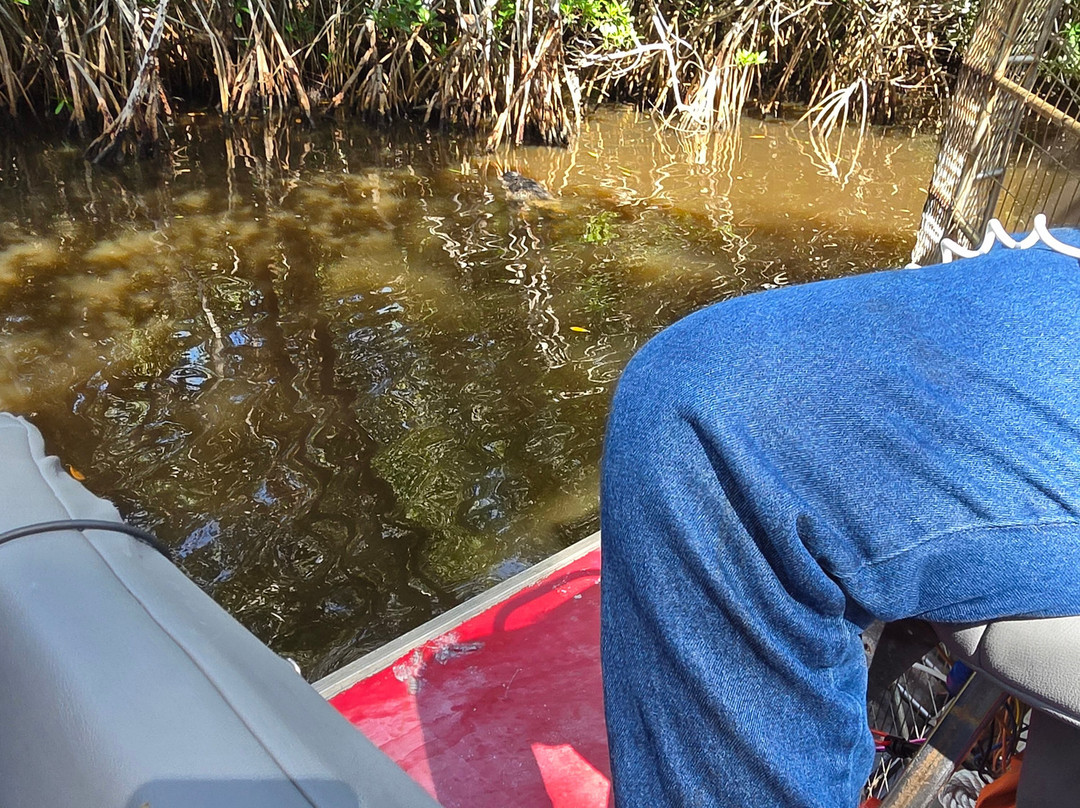 Captain Jack's Airboat Tours-大沼泽地必去景点