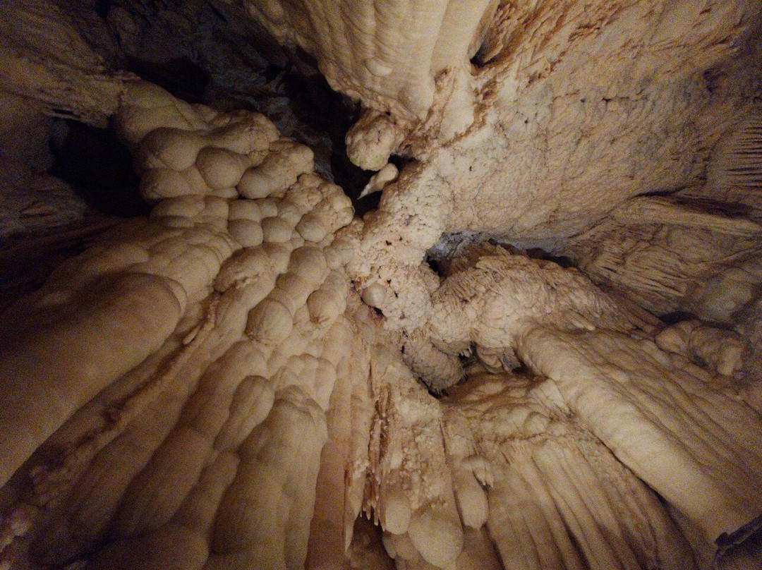 Grotte di Toirano-Toirano必去景点