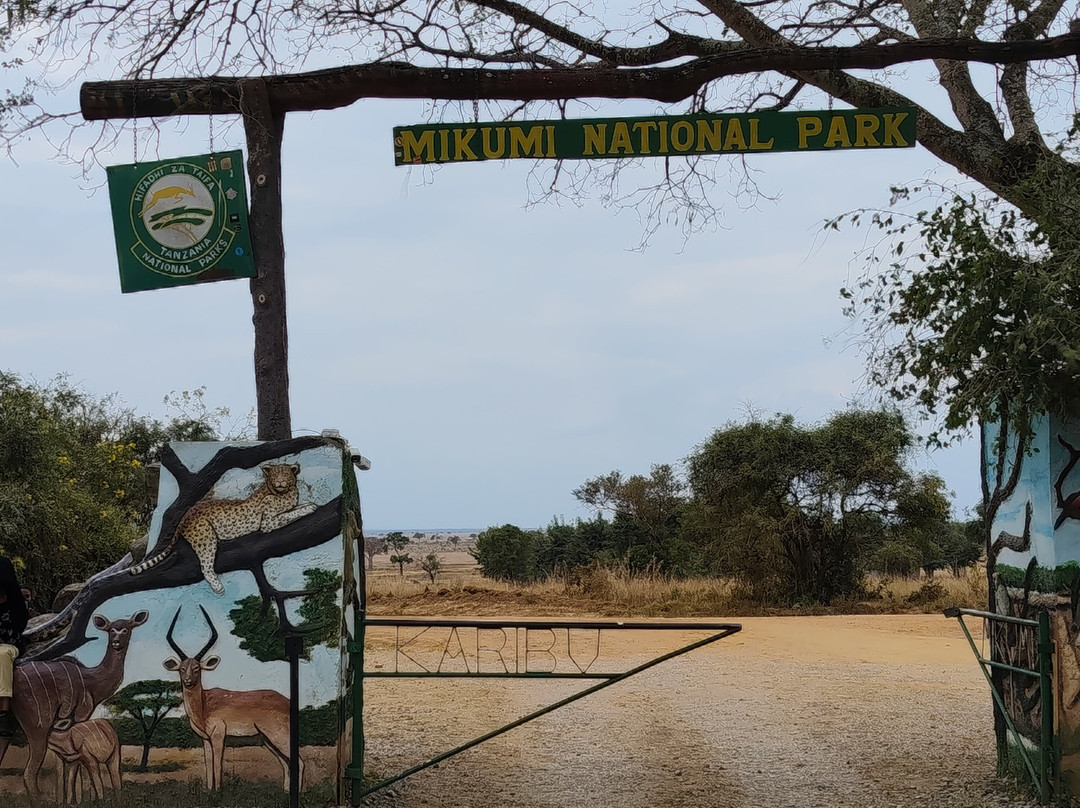 Mikumi National Park-米库米国家公园必去景点