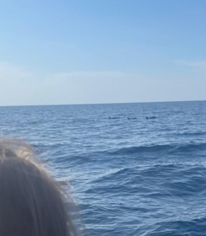 Dolphin Tours Istria-冯塔纳必去景点
