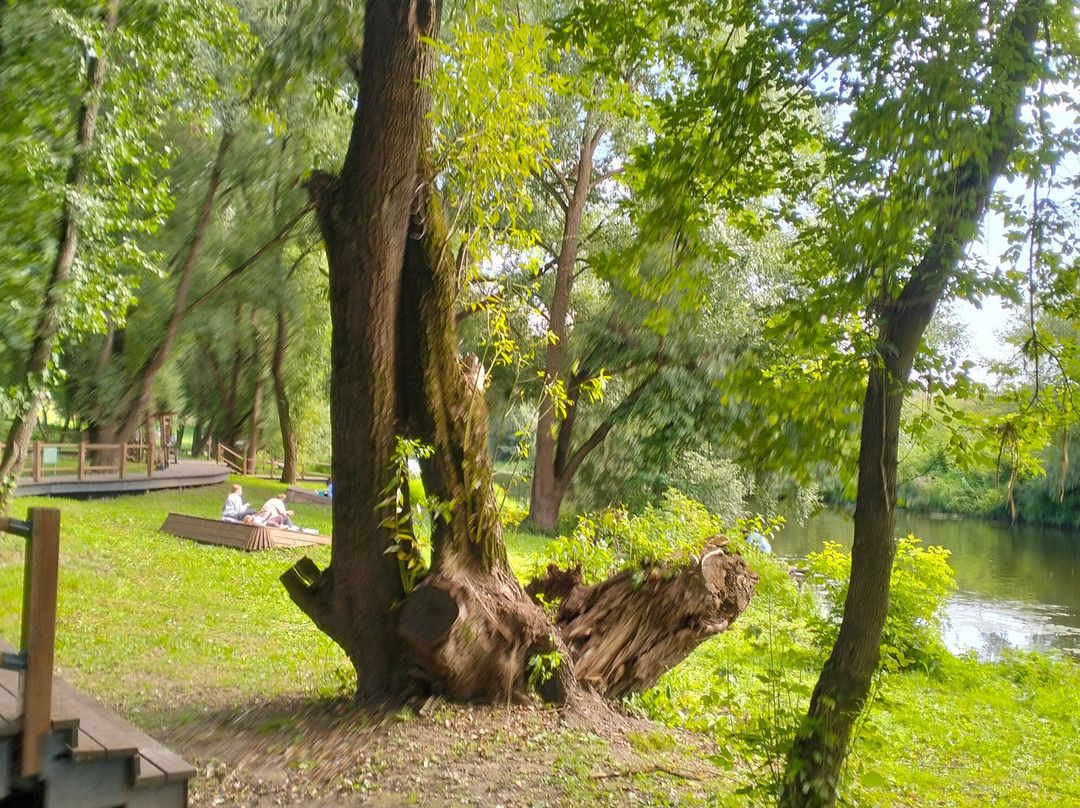 Osyotr River Embankment-Zaraysk必去景点