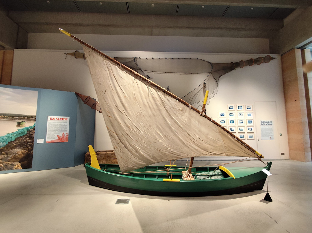 Narbo Via - Musée À Narbonne-纳博讷必去景点