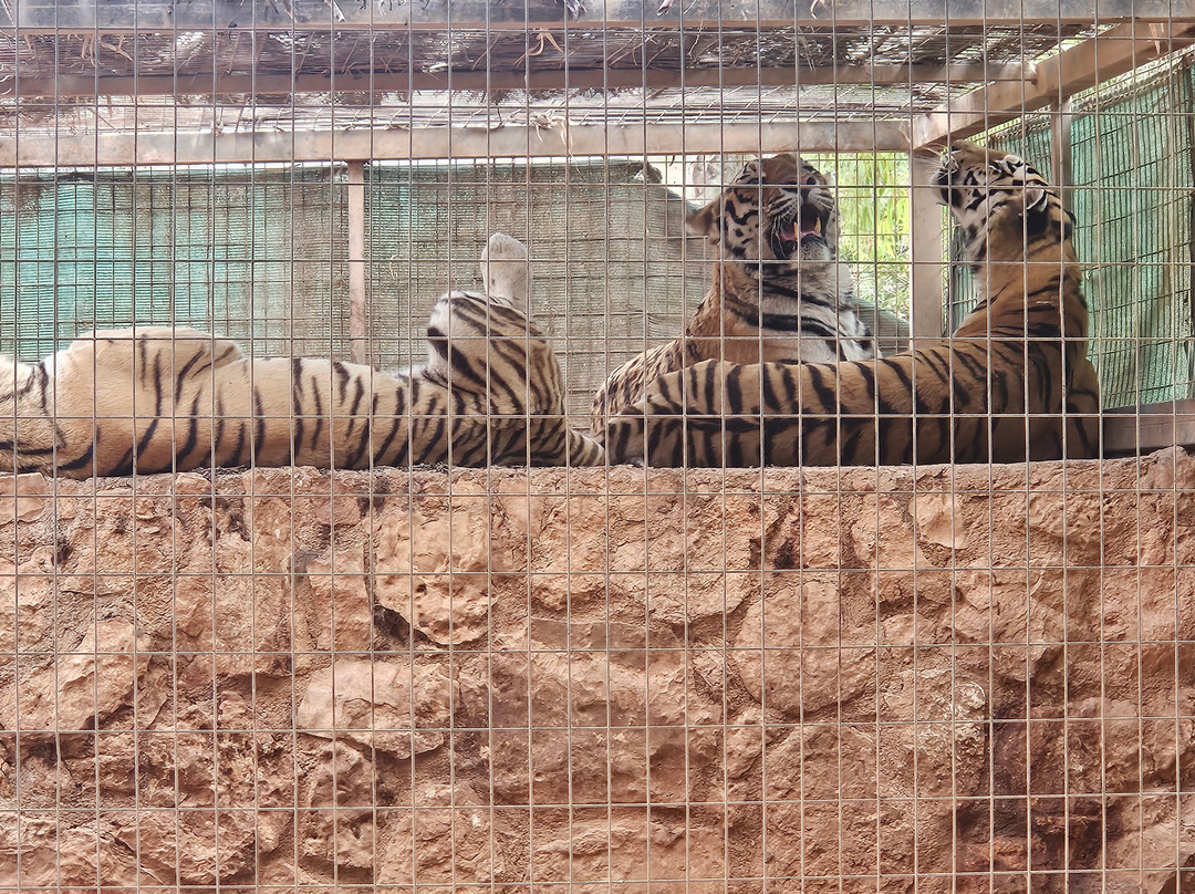 Pafos Zoo-帕福斯必去景点