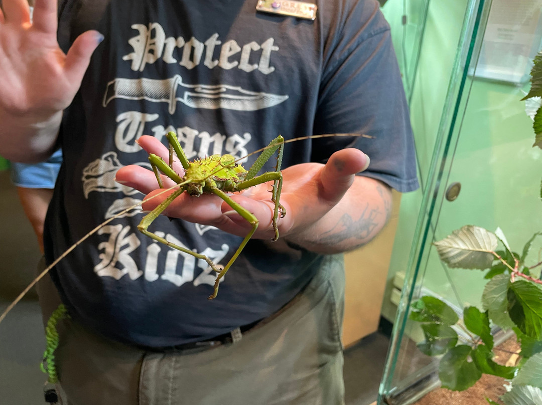 Victoria Bug Zoo-维多利亚必去景点