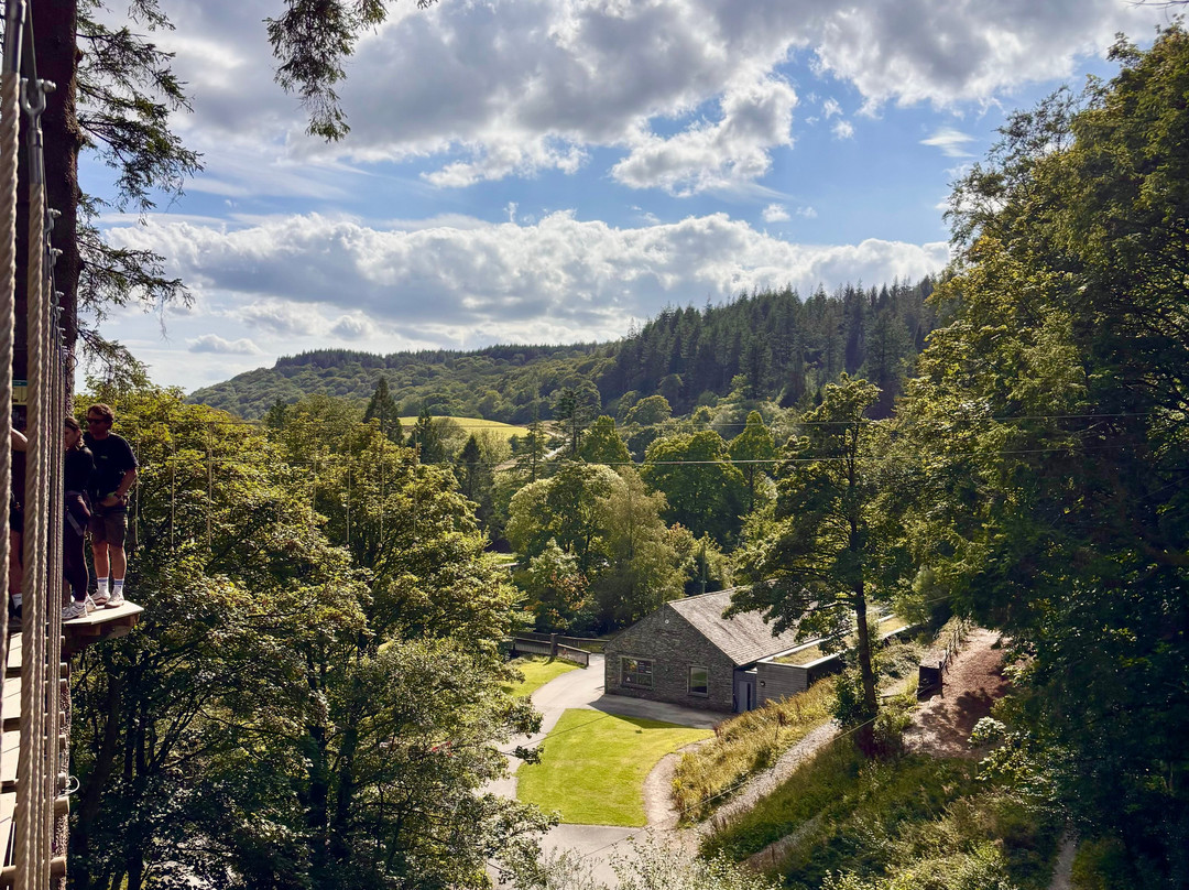 Go Ape Grizedale-Hawkshead必去景点