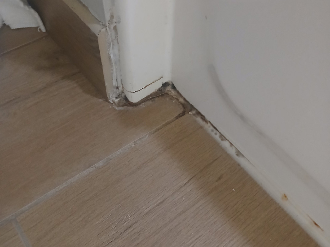 新奥尔良哈维/西岸万豪TownePlace套房酒店主图