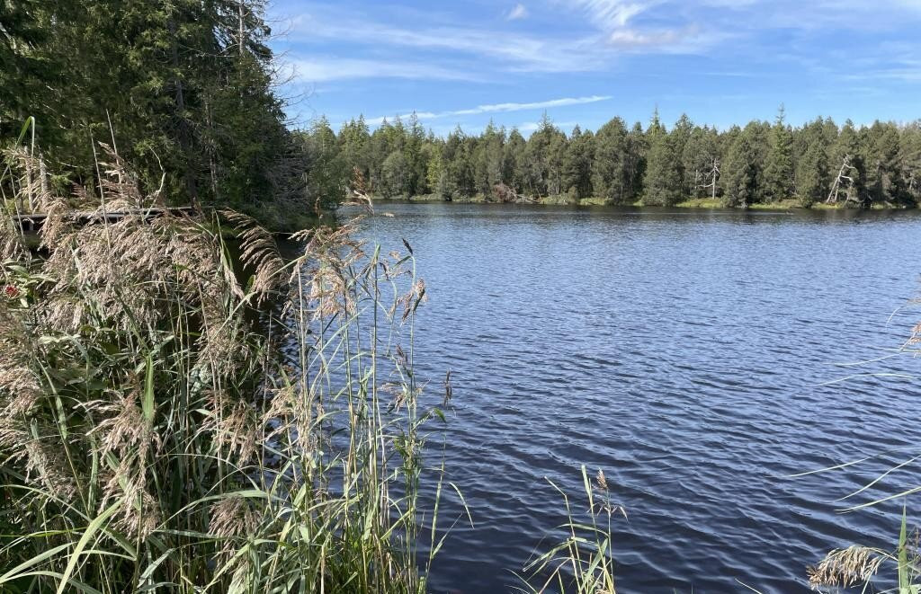 Etang de la Gruère-Saignelégier必去景点