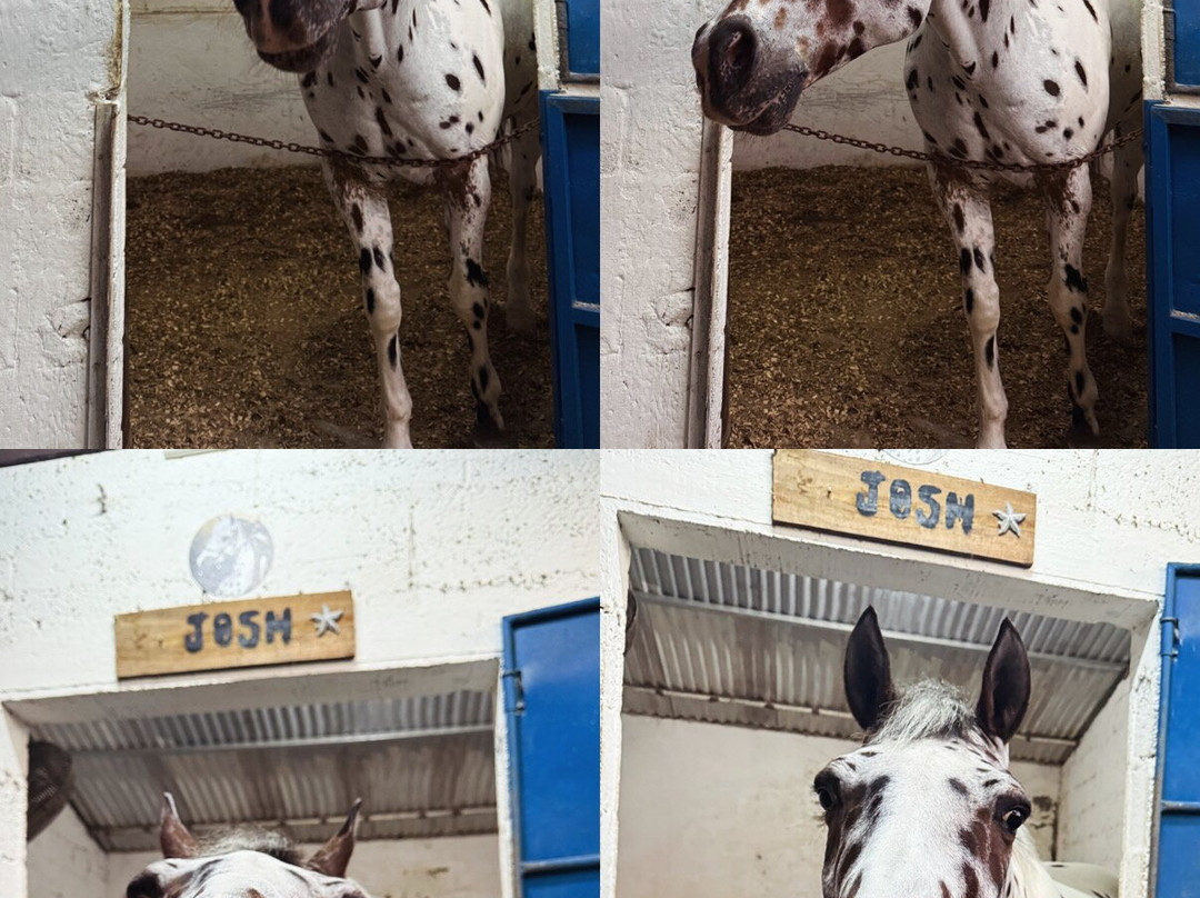HORSE RIDING RIAMBEL- Centre Equestre De Riambel-Riambel必去景点
