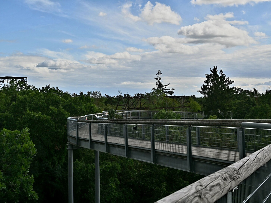 Beelitz-Heilstätten-Beelitz必去景点