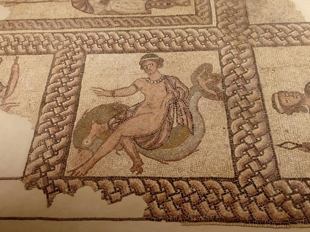CLASSIS RAVENNA - Museo della Citta e del Territorio-拉韦纳必去景点