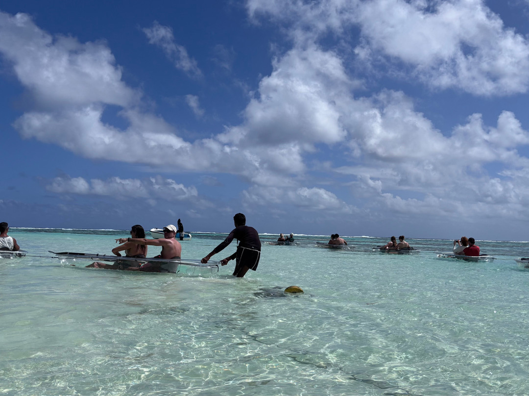 Crystal Water Kayaks-L'Union必去景点