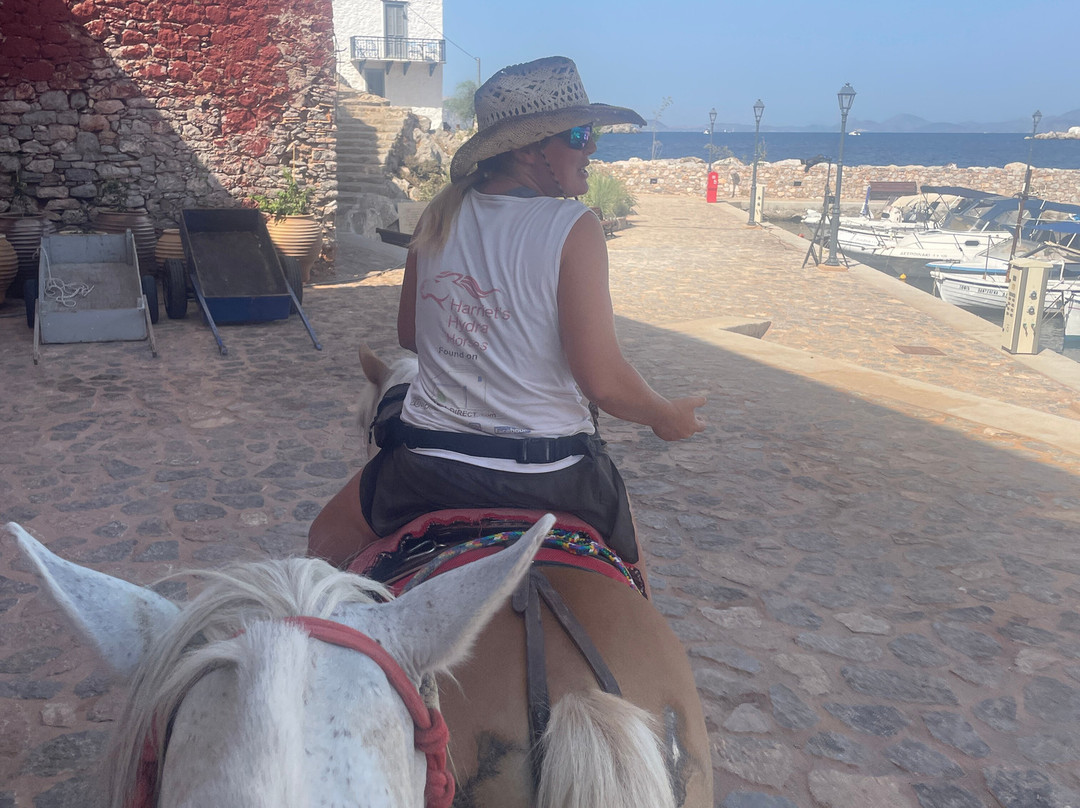 Harriets Hydra Horses-Hydra Town必去景点