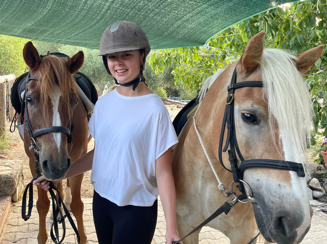 Bavarian Horse Riding Stables-萨米必去景点