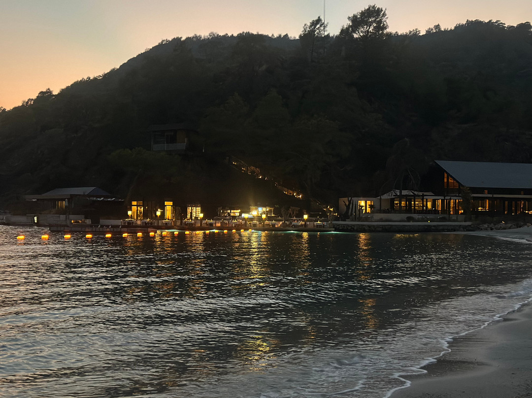 阿哈玛