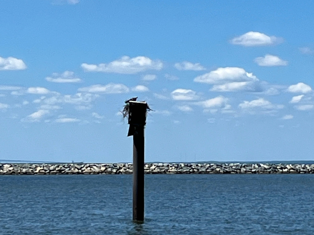 Blue Crab Chesapeake Charters-Rock Hall必去景点
