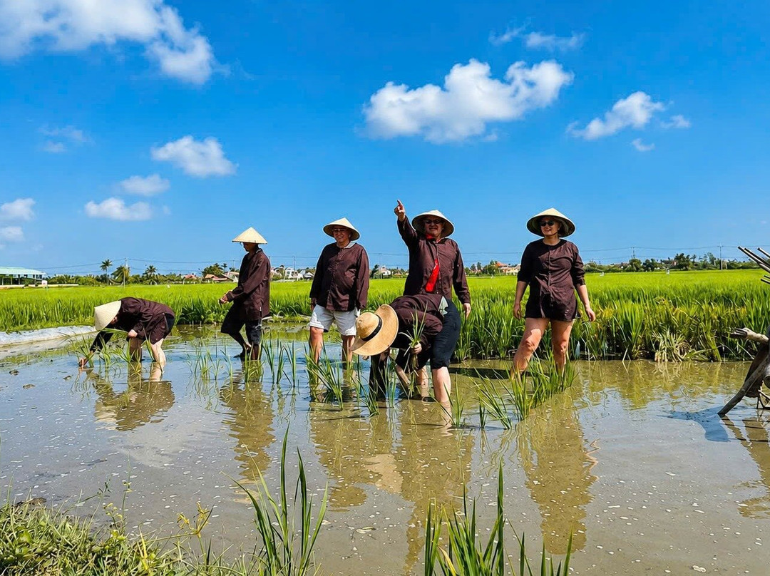 Da Nang-Hoi An-My Son-Local Tours Customized by Hung Le Travel