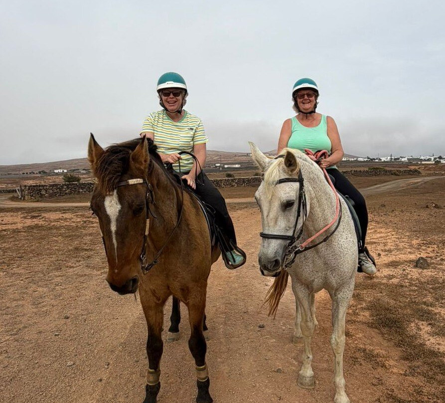 Horses Lanzarote-Teseguite必去景点
