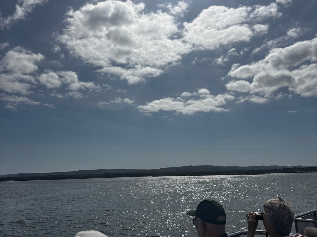 Birds Of Poole Harbour Events-普尔必去景点