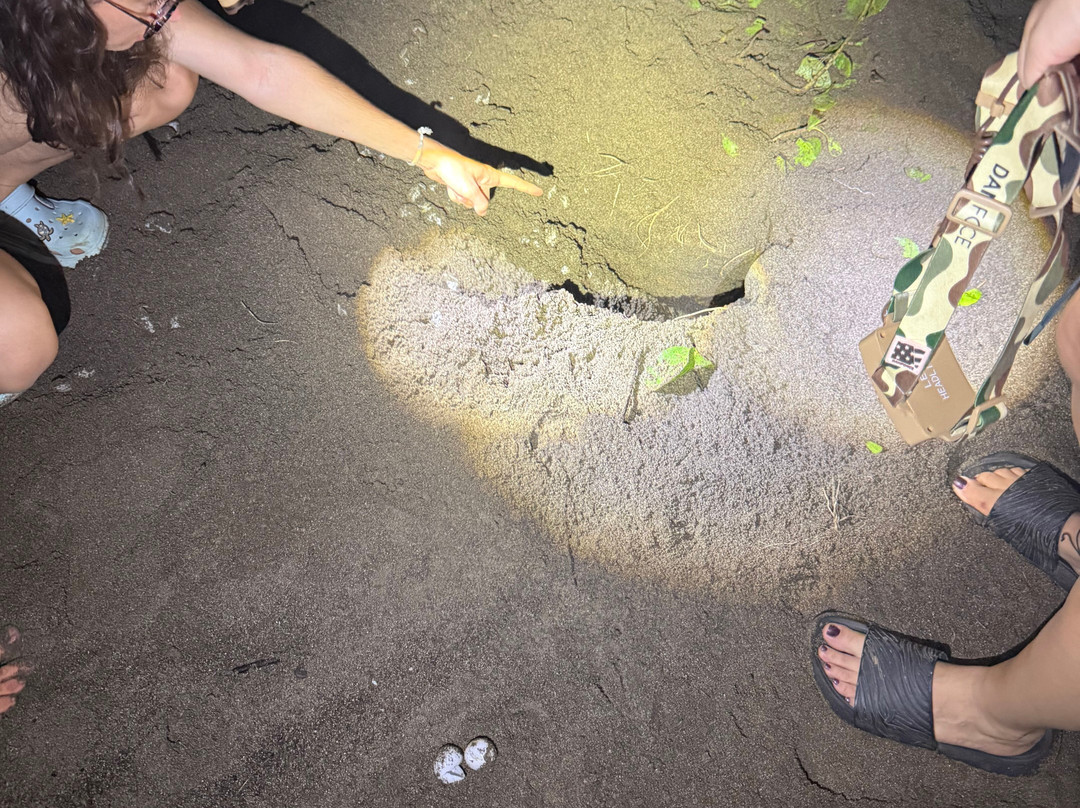 Save The Turtles Playa Venao-维纳欧海滩必去景点