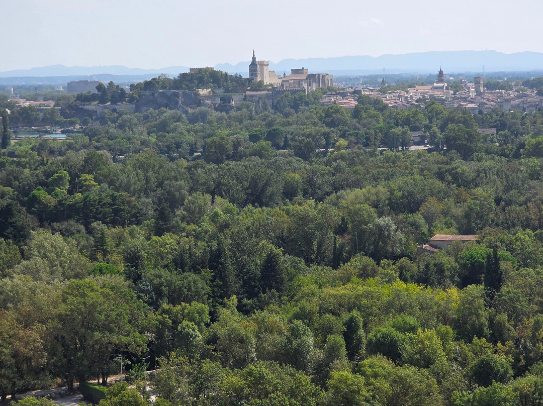 Fort Saint-andré-阿维尼翁新城必去景点