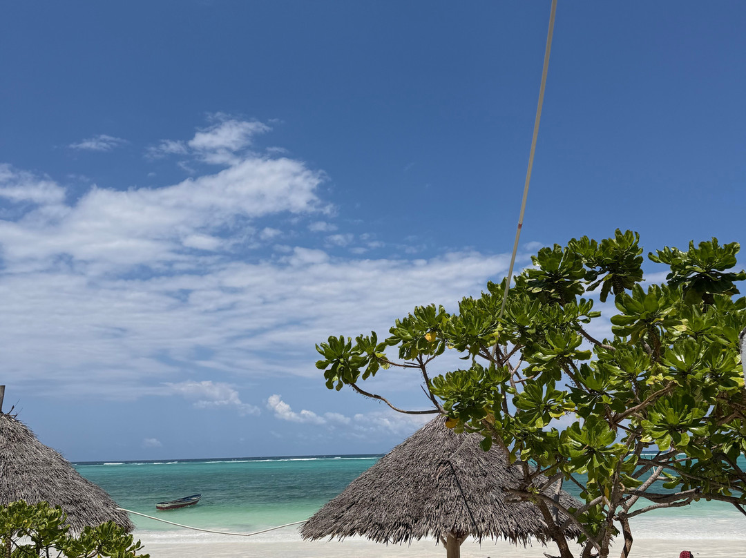 Zanzibar Kombo Tours and Safaris-桑给巴尔市必去景点