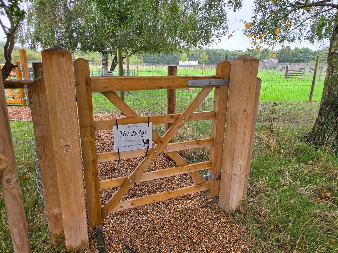 Stubbs Farm Alpacas-Loddon必去景点