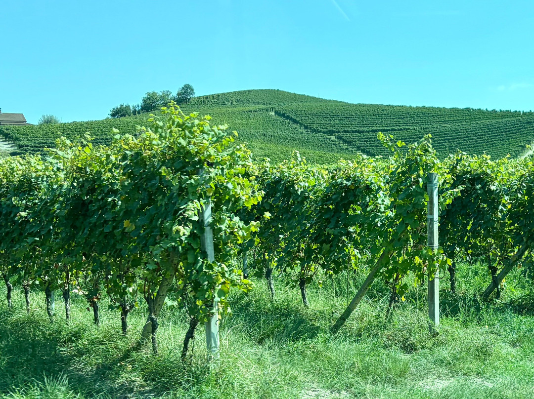 Meet Piemonte-Nizza Monferrato必去景点