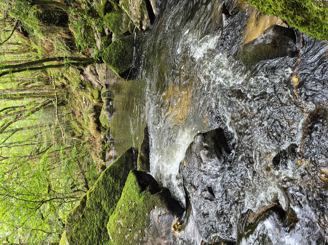 Golitha Falls-利斯卡德必去景点