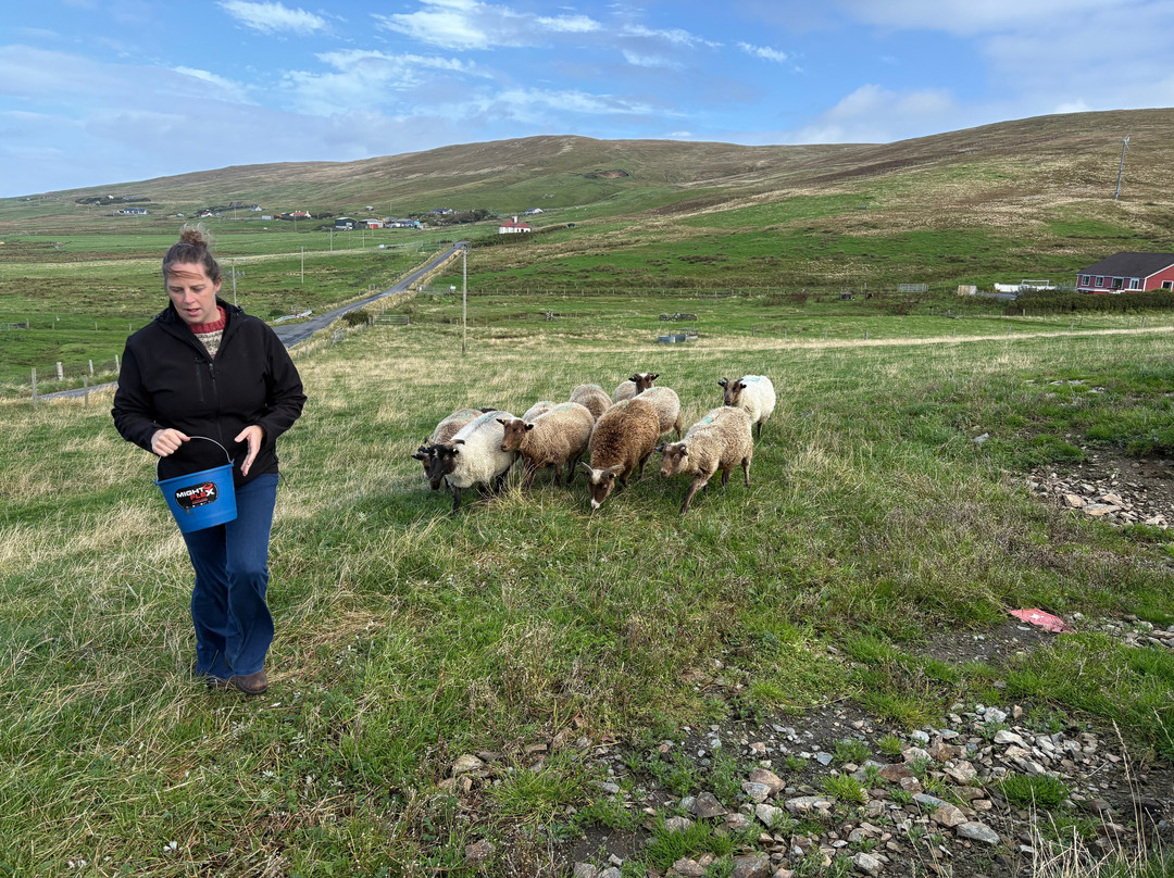 Withyburn Croft Tours