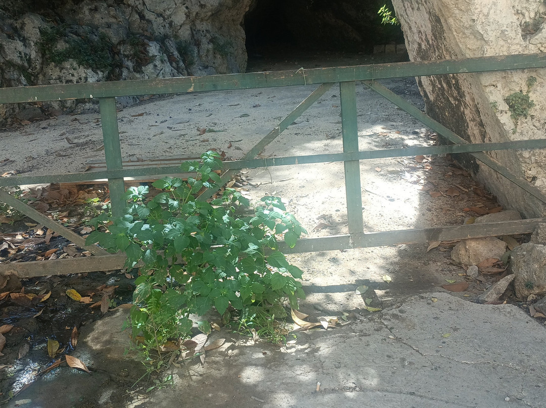 Parco Archeologico della Neapolis-锡拉库扎必去景点