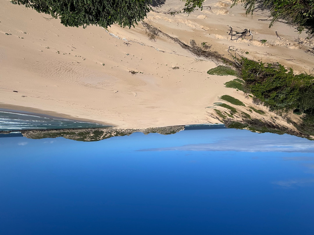 Robberg Nature Reserve-普利登堡湾必去景点