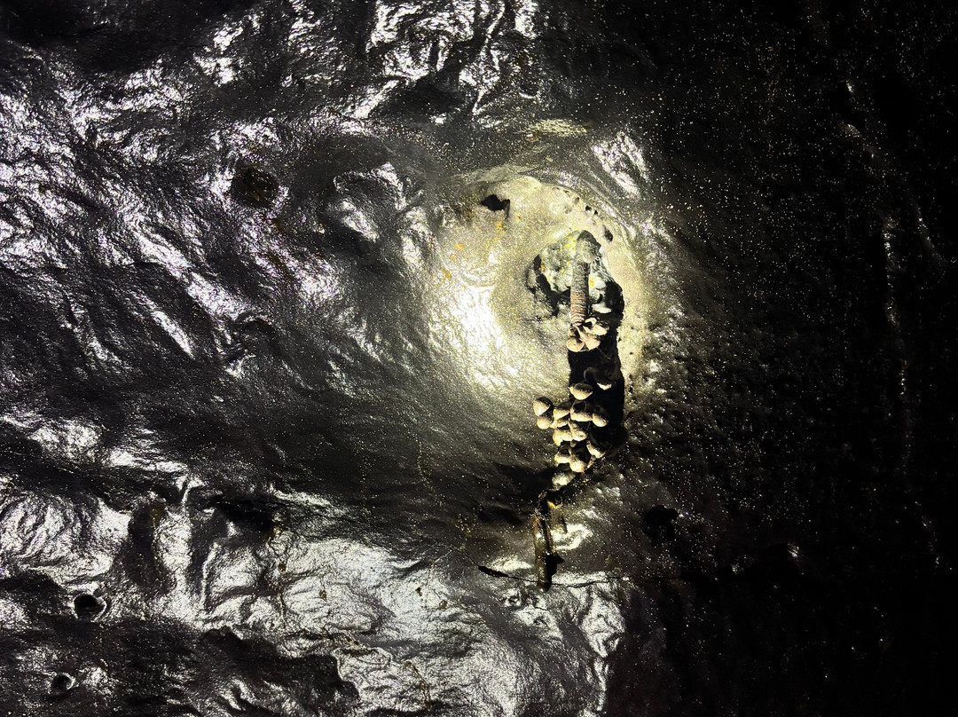 Kazumura Cave Tours-希洛必去景点