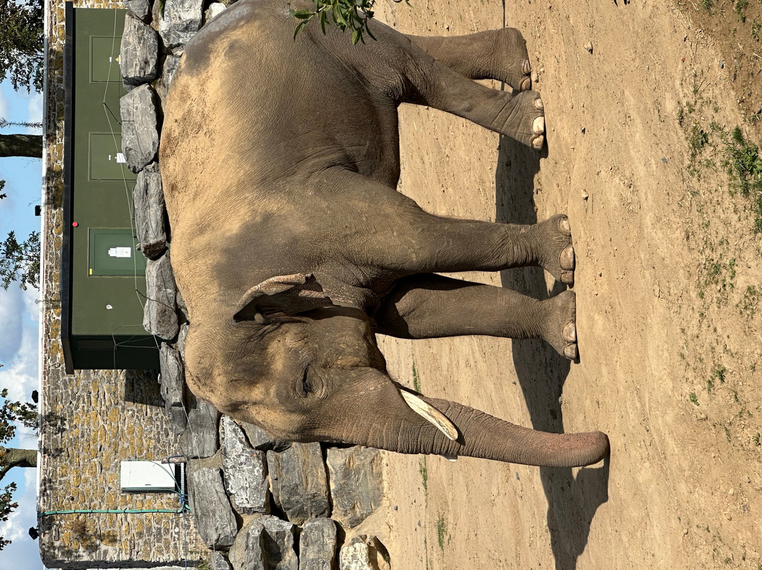 Pairi Daiza Resort主图
